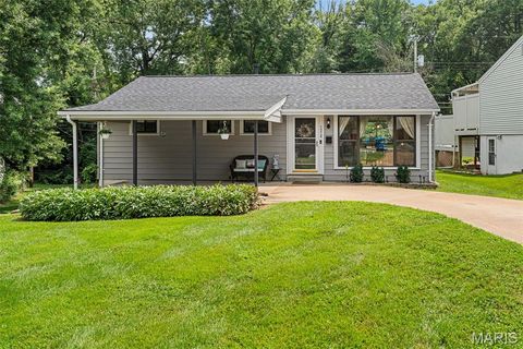 Photo of 7210 Shellburne Drive, Affton, MO 63123 (MLS # 26046778)