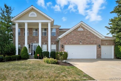 3809 Albers Pointe Drive Florissant MO 63034