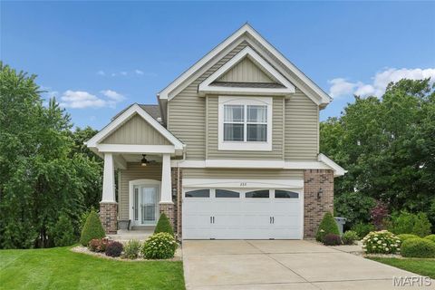 Photo of 232 Sunset Villa Circle, OFallon, MO 63366 (MLS # 26022713)