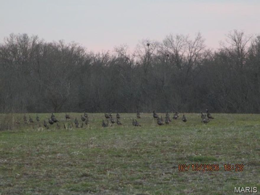 If you are looking for a hunting property, a land investment, hobby farm, or excellent building site, then this property is for you! Situated off of PCR 910 in Perry County, MO, is a list of beautiful lots offered up for sale. All lots for sale on PCR 910 will have Electric and Water available. Lot #8 is 10.78 ac, and Sellers will be open to offers on more or less acreage, final sale price will be determined by survey, and will be offered at $12,000.00 per surveyed acre. Restrictions will apply, see associated documents.