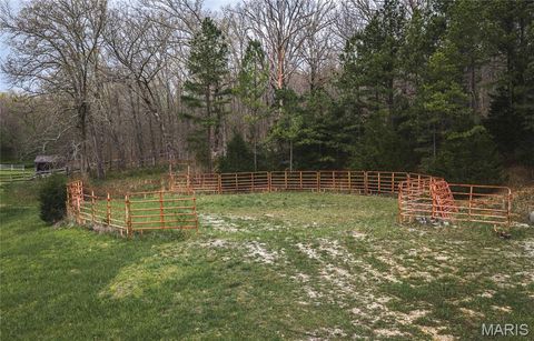 Tiny photo for 1309 County Road 4350, Salem, MO 65560 (MLS # 26023150)