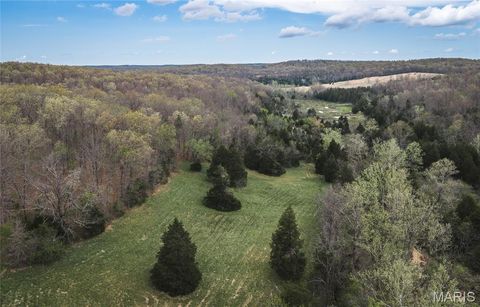 Tiny photo for 1309 County Road 4350, Salem, MO 65560 (MLS # 26023150)