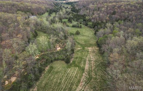 Tiny photo for 1309 County Road 4350, Salem, MO 65560 (MLS # 26023150)