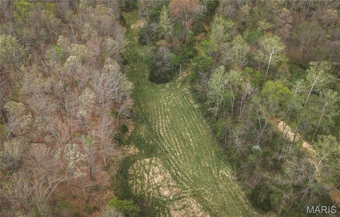 Tiny photo for 1309 County Road 4350, Salem, MO 65560 (MLS # 26023150)