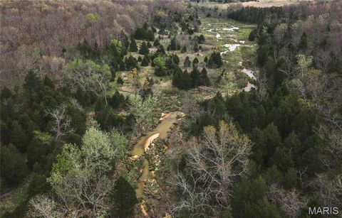 Tiny photo for 1309 County Road 4350, Salem, MO 65560 (MLS # 26023150)