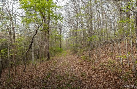 Tiny photo for 1309 County Road 4350, Salem, MO 65560 (MLS # 26023150)