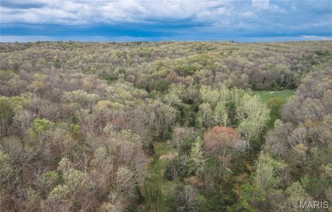 Tiny photo for 1309 County Road 4350, Salem, MO 65560 (MLS # 26023150)