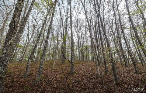 Tiny photo for 1309 County Road 4350, Salem, MO 65560 (MLS # 26023150)