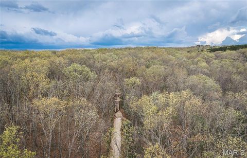 Tiny photo for 1309 County Road 4350, Salem, MO 65560 (MLS # 26023150)