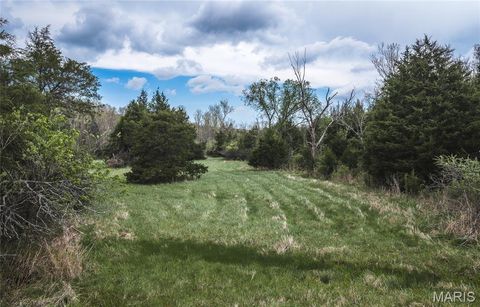 Tiny photo for 1309 County Road 4350, Salem, MO 65560 (MLS # 26023150)