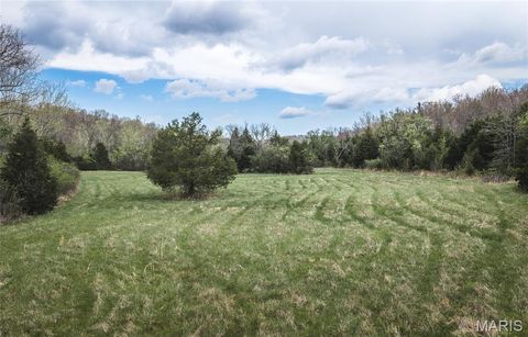 Tiny photo for 1309 County Road 4350, Salem, MO 65560 (MLS # 26023150)