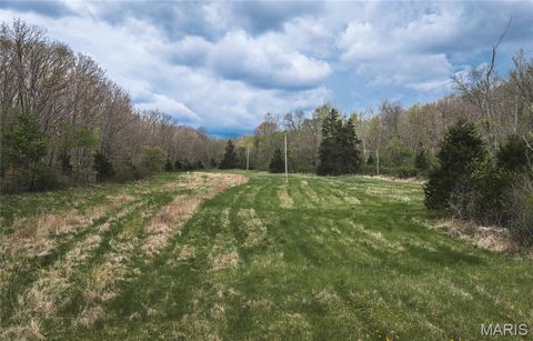 Tiny photo for 1309 County Road 4350, Salem, MO 65560 (MLS # 26023150)