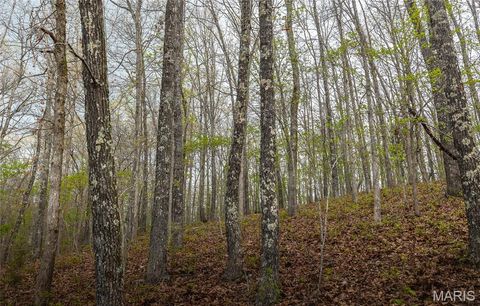 Tiny photo for 1309 County Road 4350, Salem, MO 65560 (MLS # 26023150)