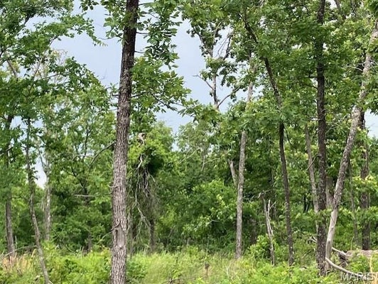 75 MADISON CR 410, FREDERICKTOWN, MO 63645 - Image ceec7b6ed0a4c9d524113741eba58bab/4015426955