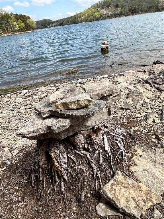 Lake Sherwood Estates - Land