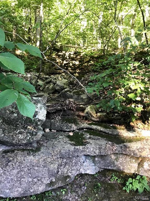 Lake Sherwood Estates - Land