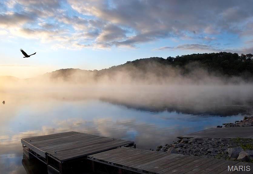 Lake Sherwood Estates - Land