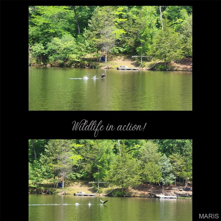 Lake Sherwood Estates - Land