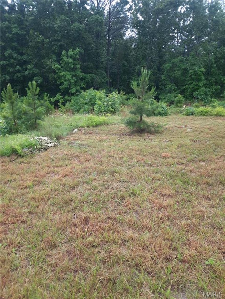 Available on WW highway around 17 miles south of Salem is a wooded lot ready for the customer that wants to make it their own.  The lot has road frontage ready for a driveway and can be cleared for your dream house.  Electric is at the highway.  The buyer is responsible to drill a well for water.  Turkey and deer are commonly found on the property. Owner is selling 3 acres of the property. Property is close to Mark Twain National Forest and several conservation areas.