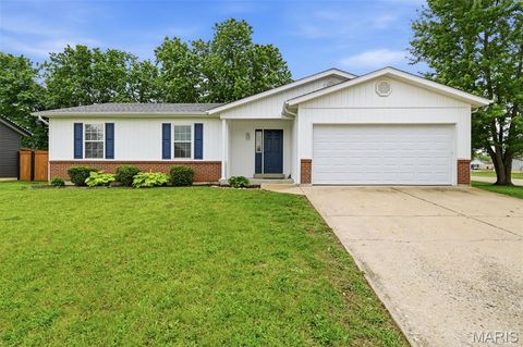 Photo of 280 Shellbark Drive, Troy, MO 63379 (MLS # 26028037)