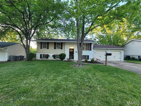 807 Larkspur Lane  MO 63366