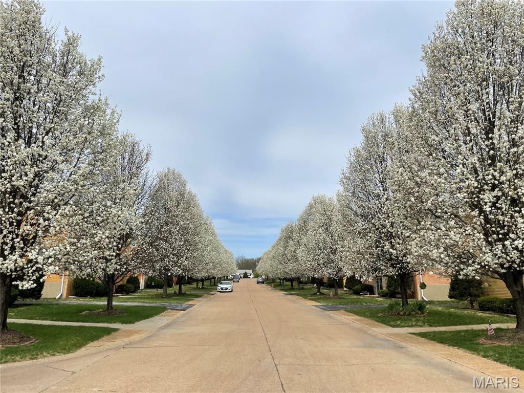 Photo of 4244 Fatima Drive #3, Unincorporated, MO 63123 (MLS # 26003224)