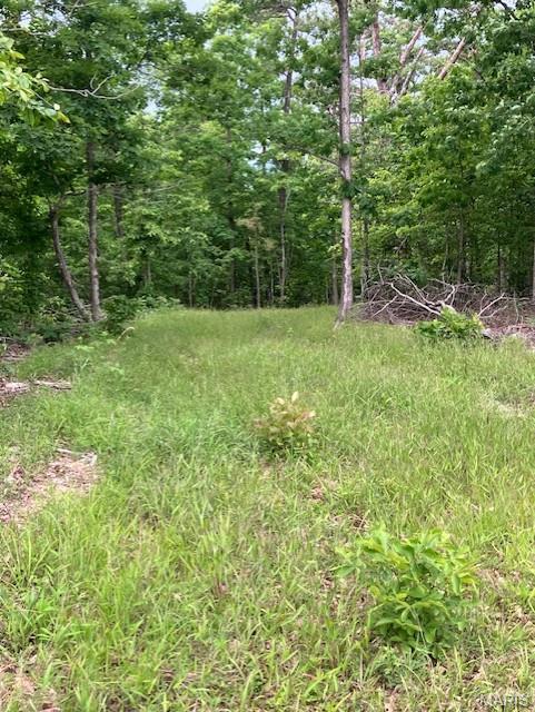 Photo 1 of 3 — 238 Madison CR 410, Fredericktown, MO 63645
