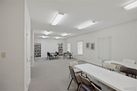 Tiny photo for 561 Sarah Lane #303, Creve Coeur, MO 63141 (MLS # 26037384)