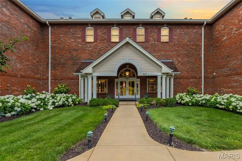 Photo of 561 Sarah Lane #303, Creve Coeur, MO 63141 (MLS # 26037384)