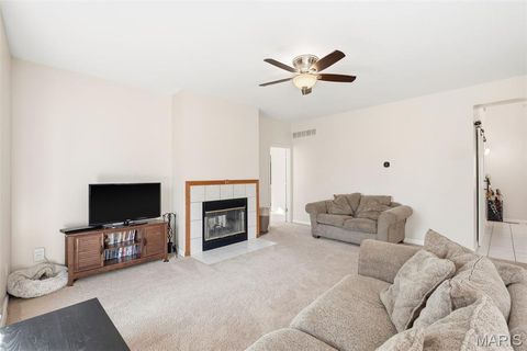 Tiny photo for 18798 Pike 9242, Bowling Green, MO 63334 (MLS # 26023637)