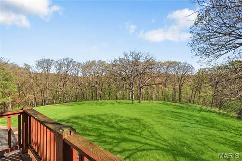 Tiny photo for 18798 Pike 9242, Bowling Green, MO 63334 (MLS # 26023637)