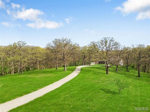 Tiny photo for 18798 Pike 9242, Bowling Green, MO 63334 (MLS # 26023637)