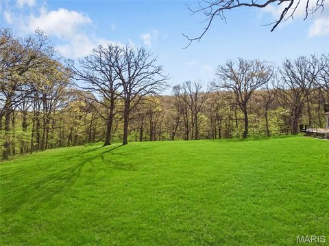 Tiny photo for 18798 Pike 9242, Bowling Green, MO 63334 (MLS # 26023637)