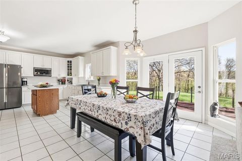 Tiny photo for 18798 Pike 9242, Bowling Green, MO 63334 (MLS # 26023637)