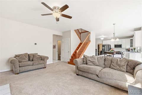 Tiny photo for 18798 Pike 9242, Bowling Green, MO 63334 (MLS # 26023637)