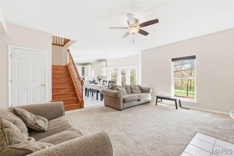 Tiny photo for 18798 Pike 9242, Bowling Green, MO 63334 (MLS # 26023637)