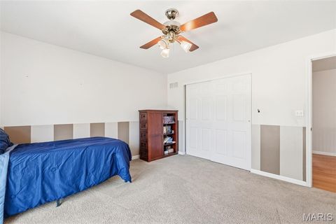 Tiny photo for 18798 Pike 9242, Bowling Green, MO 63334 (MLS # 26023637)