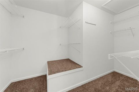 Tiny photo for 4444 Spotted Fawn Court, Wentzville, MO 63385 (MLS # 26005933)