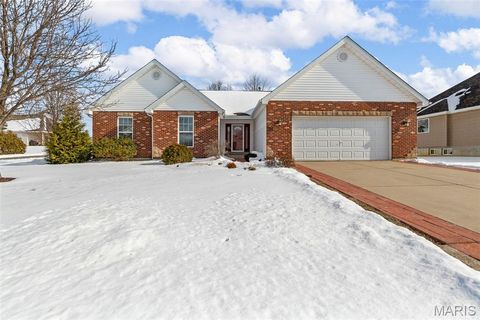 Photo of 4444 Spotted Fawn Court, Wentzville, MO 63385 (MLS # 26005933)