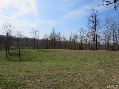 Tiny photo for 772 Highway D, Ellington, MO 63638 (MLS # 26018852)