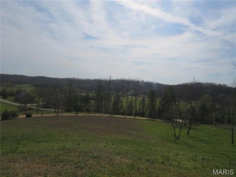 Tiny photo for 772 Highway D, Ellington, MO 63638 (MLS # 26018852)