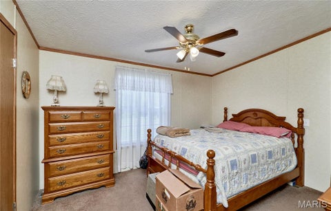 Tiny photo for 54 Wisteria Ln LN, Troy, MO 63379 (MLS # 26055249)