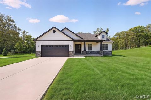 291 Auburn Ridge Drive Troy MO 63379