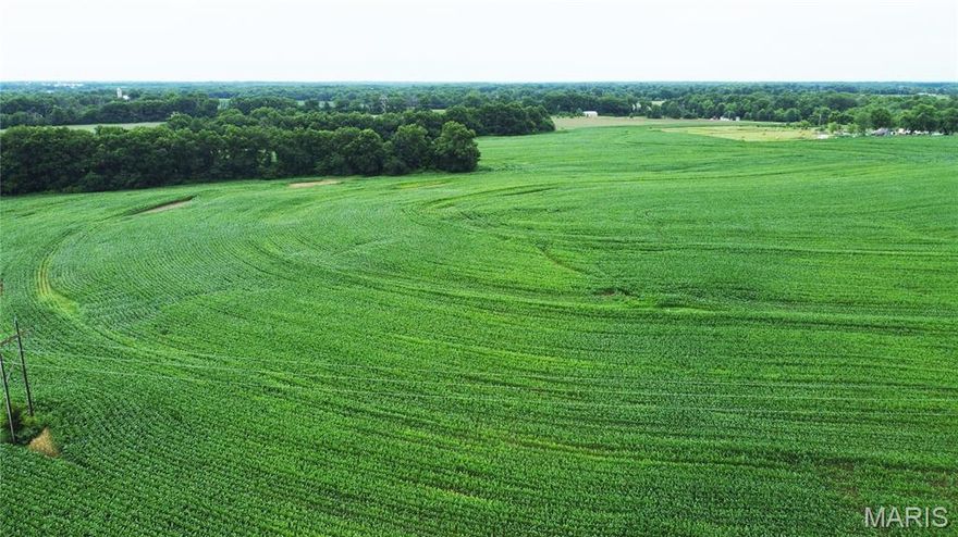 If you are wanting an all prupose land tract this one has it all.  Tillable ground, (tiled & terrace), woods, creek, & trails.  Woods mean plenty of deer, turkey, & more wildlife for your hunting pleasure. County water nearby. There is some fencing. Aproximately 100 m/l which is being leased at this time.  Land has been surveyed, waiting on legal description.  Property has approximately 450' of blacktop frontage and there are 2 access points to the land.  The price per acre surveyed is $9,500 per acre.  Call for your tour of the property today.