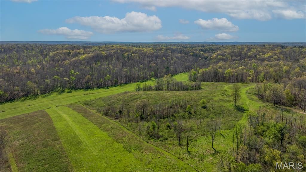 Photo of 0 County Road 584, Piedmont, MO 63957 (MLS # 26021183)