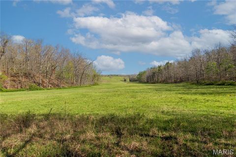 Tiny photo for 0 County Road 584, Piedmont, MO 63957 (MLS # 26021183)