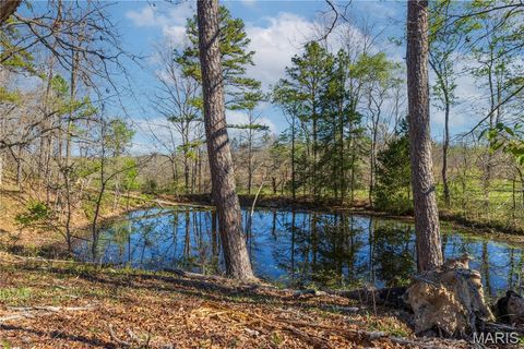 Tiny photo for 0 County Road 584, Piedmont, MO 63957 (MLS # 26021183)
