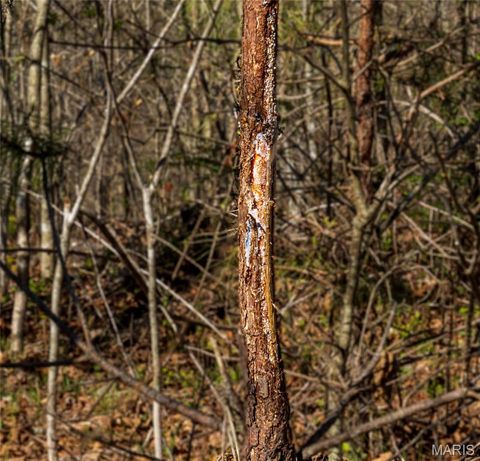 Tiny photo for 0 County Road 584, Piedmont, MO 63957 (MLS # 26021183)