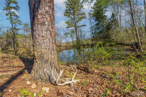 Tiny photo for 0 County Road 584, Piedmont, MO 63957 (MLS # 26021183)