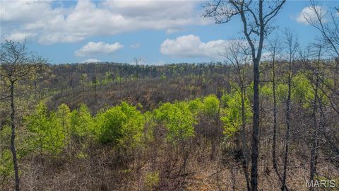Tiny photo for 0 County Road 584, Piedmont, MO 63957 (MLS # 26021183)